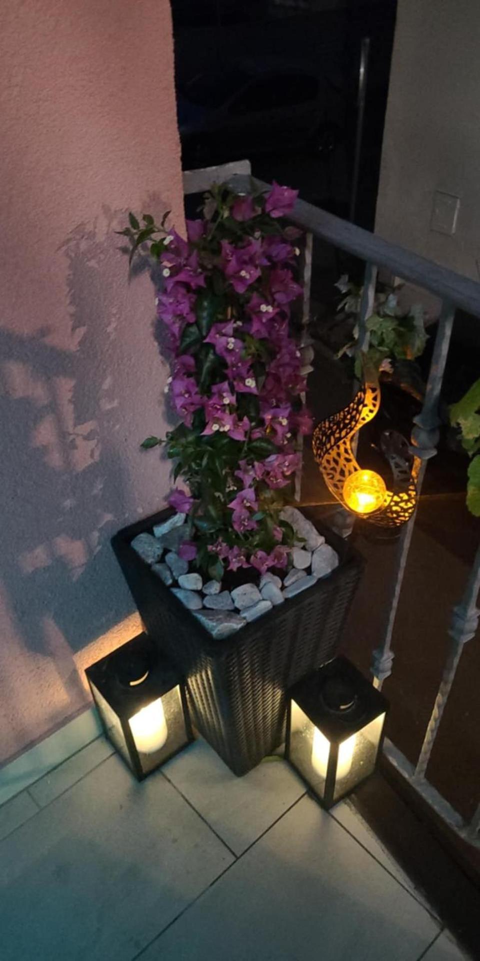 Apartmaji Soncek イゾラ エクステリア 写真